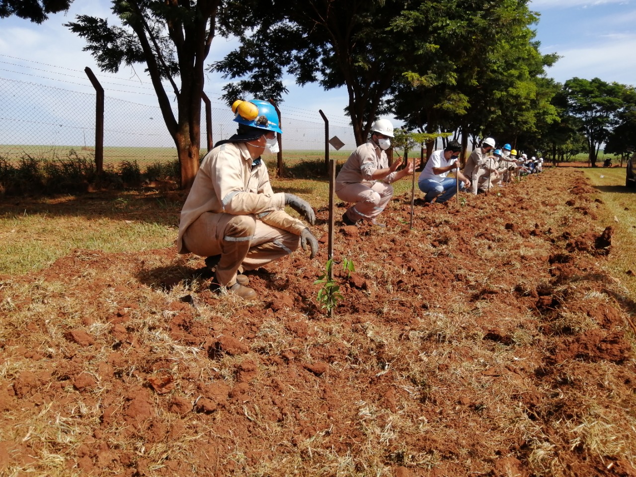 LDC y A Todo Pulmón unen fuerzas por la Conservación: 1.680 árboles plantados en Canindeyú