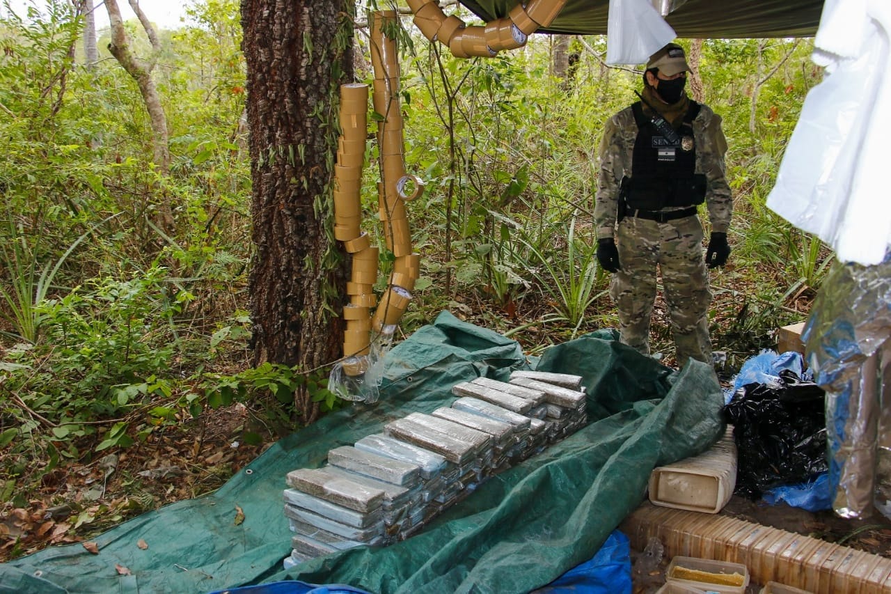 Encuentran y destruyen campamento de drogas en reserva natural