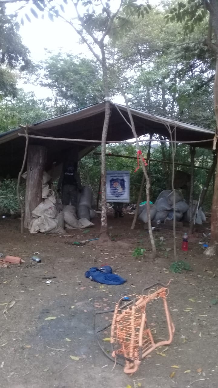 Hallan cultivo de marihuana pero como siempre, ni un detenido