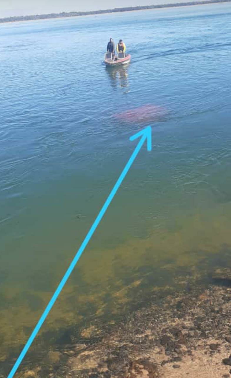 IMPRESIONANTE !! Camión cae al río Paraná y chofer de salva