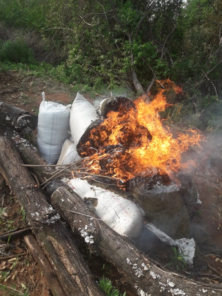 Queman campamento y marihuana en zona de Villa Ygatimí