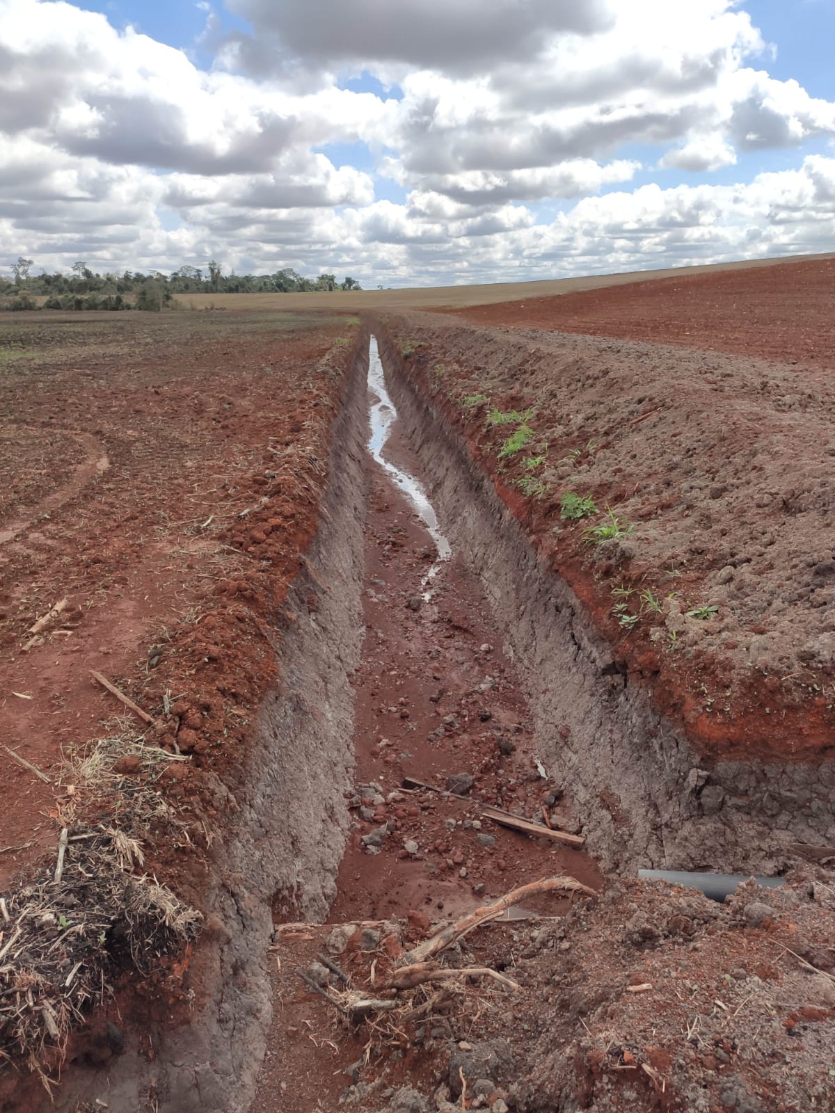 Brasileño es imputado por supuesto delito contra el medio ambiente en Canindeyú