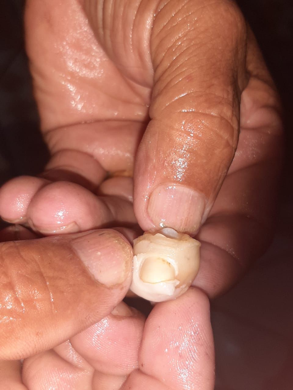 VÍDEO. Pescan piraña que atacó a un bañista en Villa Ygatimí