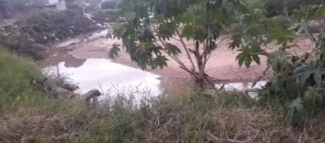 Encontraron cabeza de recién nacido a orillas del arroyo en San Lorenzo