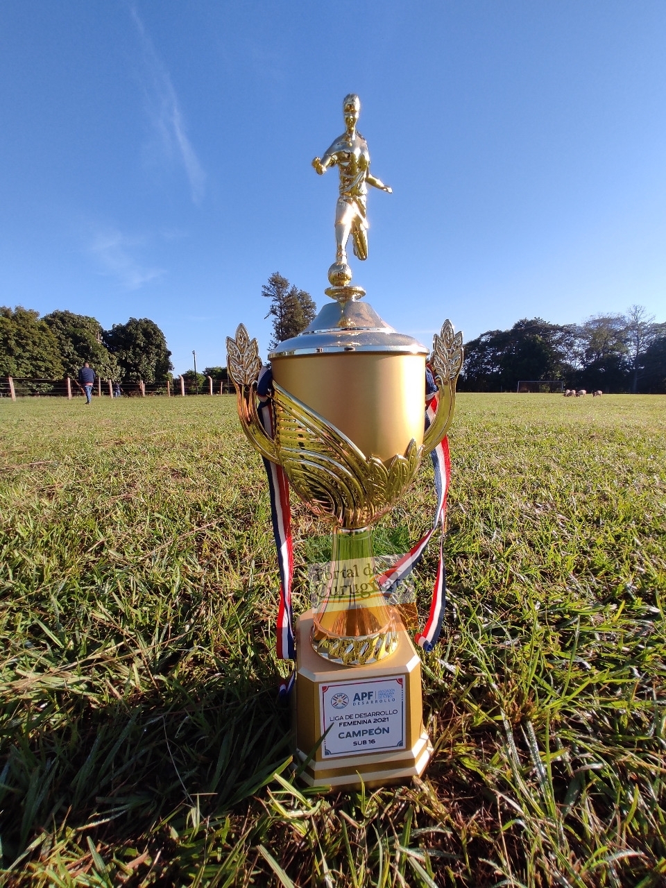 VÍDEO. Club femenino Aché representará al país en el torneo sudamericano de fútbol
