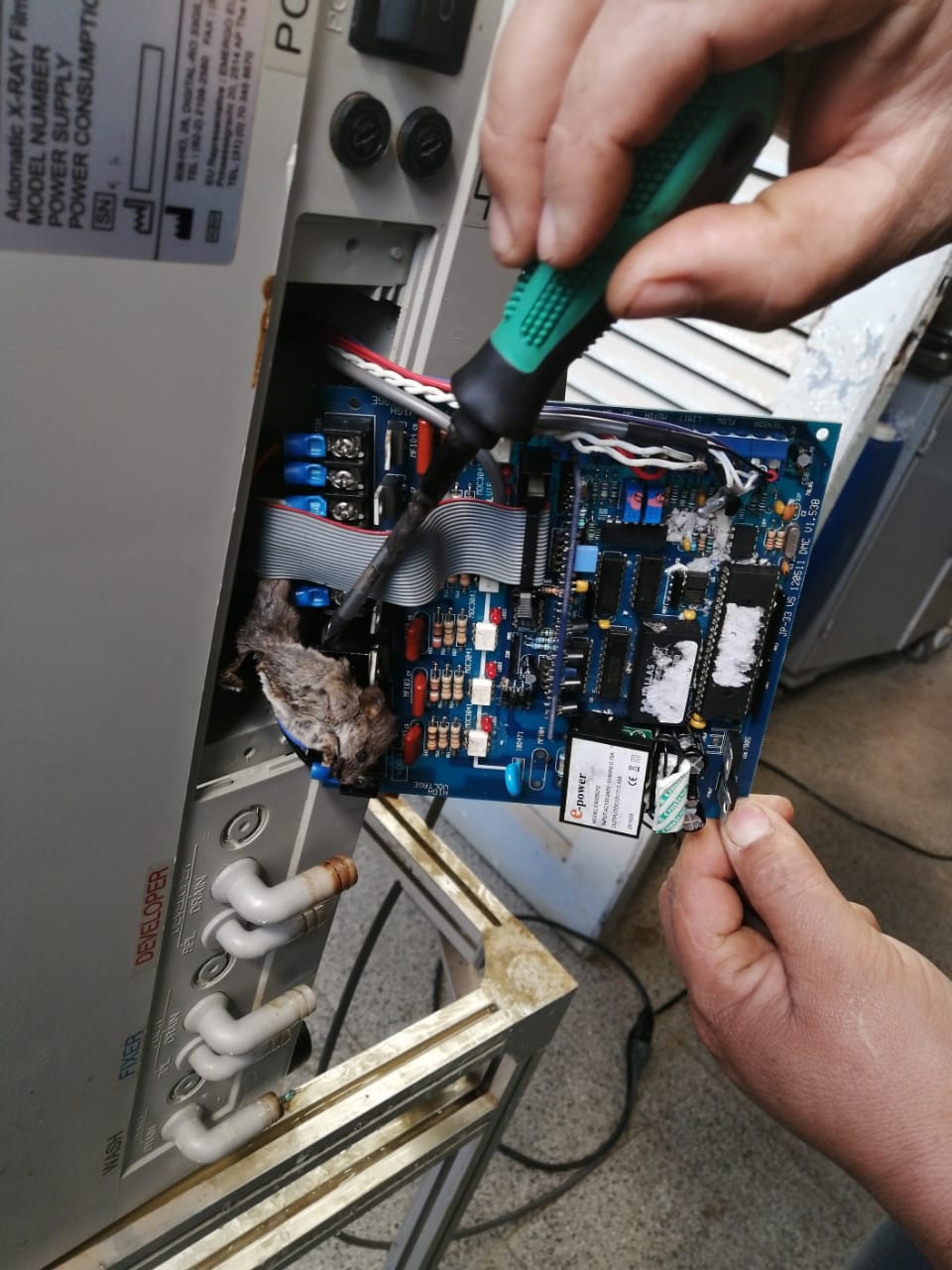 VÍDEO. El informe viral sobre ratón que descompuso equipo de Rayos X del hospital de Curuguaty
