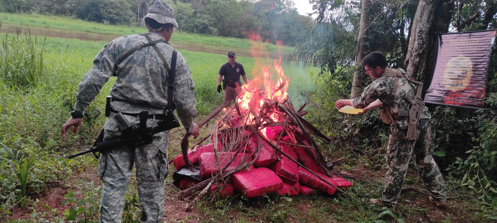 SENAD destruye más de 1200 kilos de marihuana en Canindeyú
