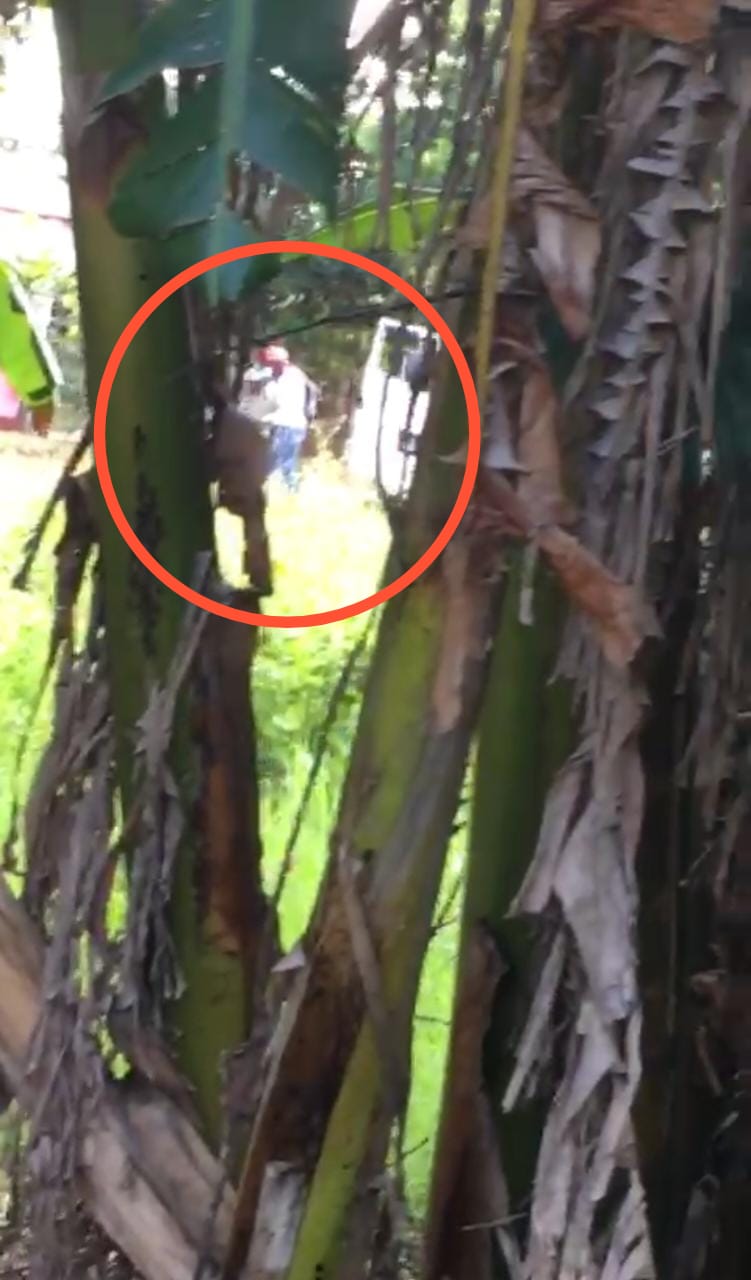 VÍDEO. Confirman millonario monto robado a vendedores de Lactolanda en Yasy Cañy