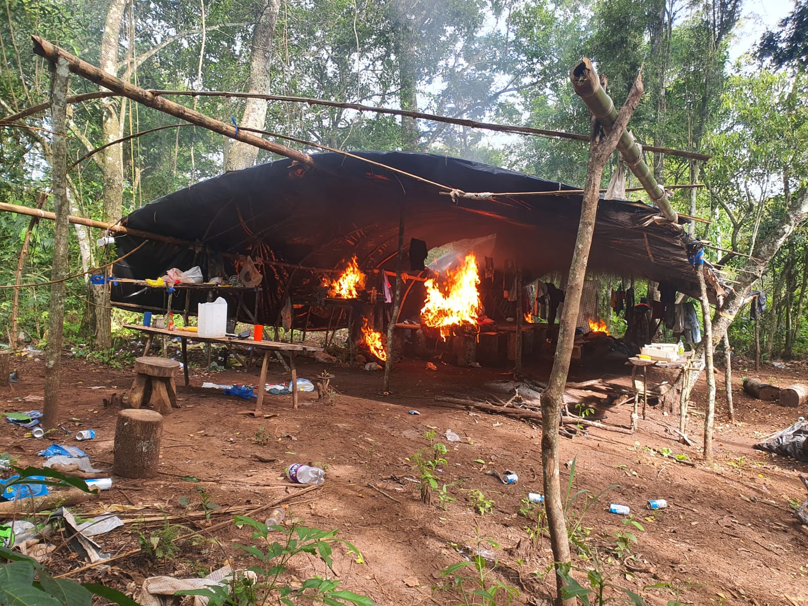 Anulan 93 toneladas de marihuana a través de operativo conjunto antinarcótico