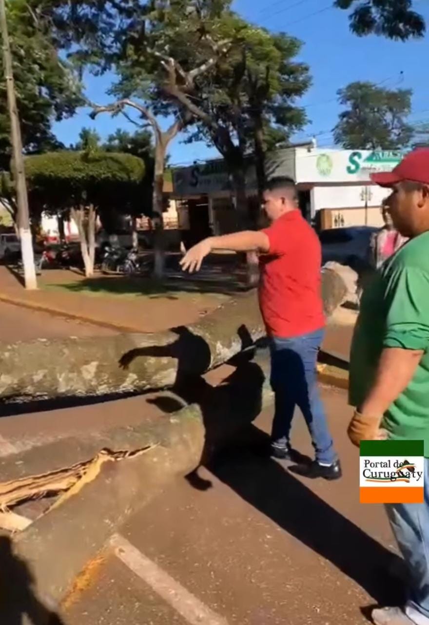 Recurren a amparo para evitar que intendente de La Paloma derrumbe árboles de la avenida principal