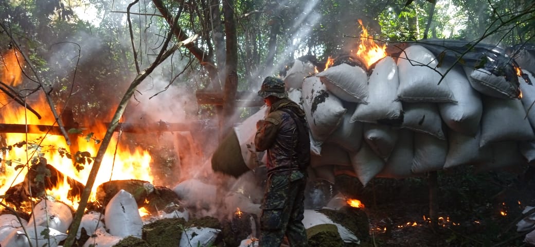 SENAD y FTC Culminan fase de la Operación CUT con 109 toneladas de droga anuladas