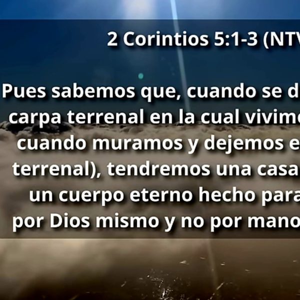 Como será la vida en el cielo según la biblia ?