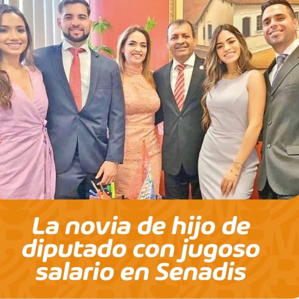 Familiares del diputado Miguel del Puerto arrasan en SENADIS