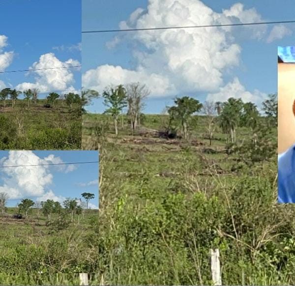 Fiscal investiga al intendente de Villa Ygatimí por presunta deforestación