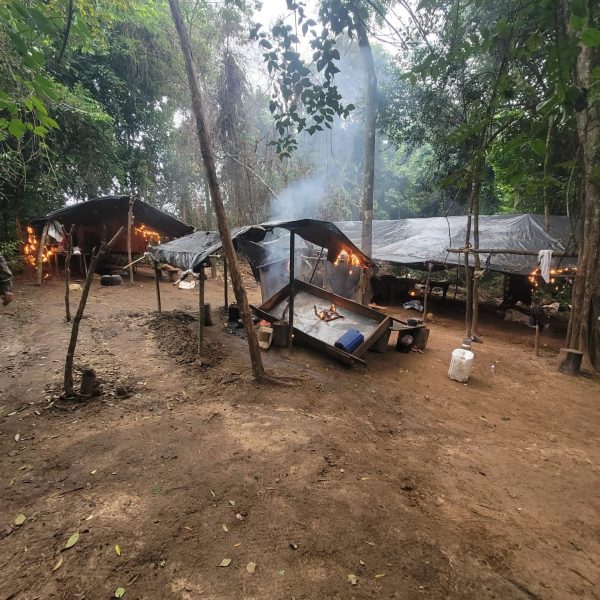 Destruyen 48 hectáreas de marihuana en Chupa Pou