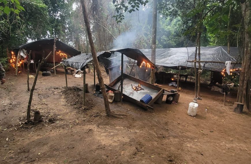 Destruyen 48 hectáreas de marihuana en Chupa Pou