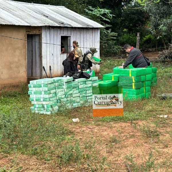 Incautan marihuana en Ko ê Porã Villa Ygatimí