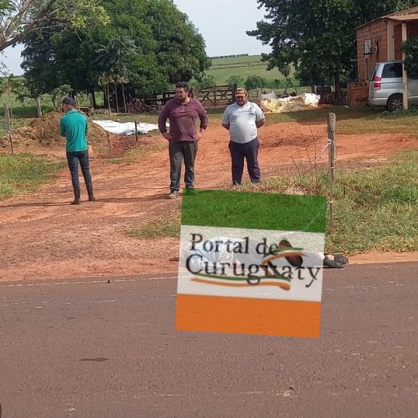 Grave accidente en inmediaciones de APADEC