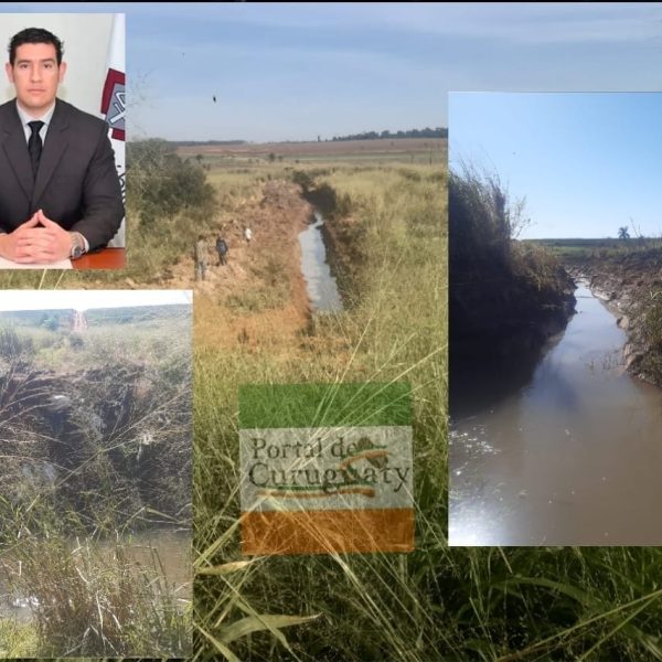 Fiscal estaría recibiendo coima para abalar destrucción del medioambiente en Yhú