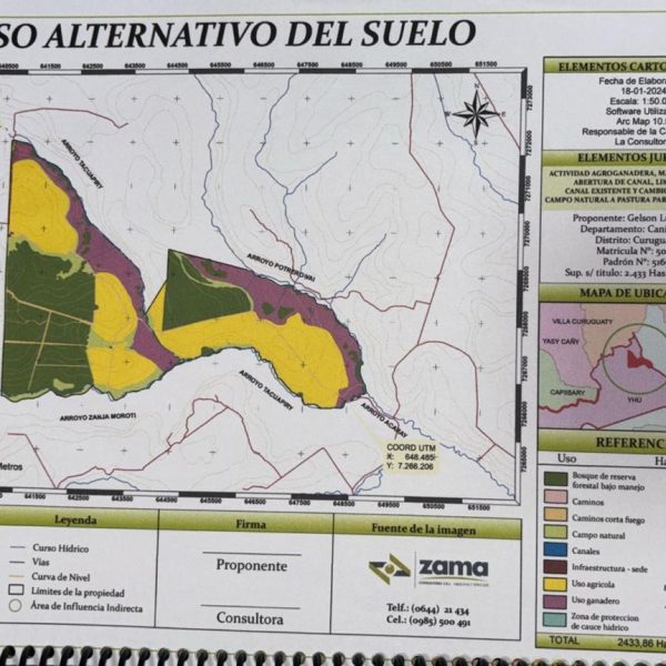 Terrible; Mades otorga licencia a brasileños para destruir humedales