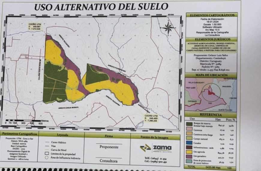 Terrible; Mades otorga licencia a brasileños para destruir humedales
