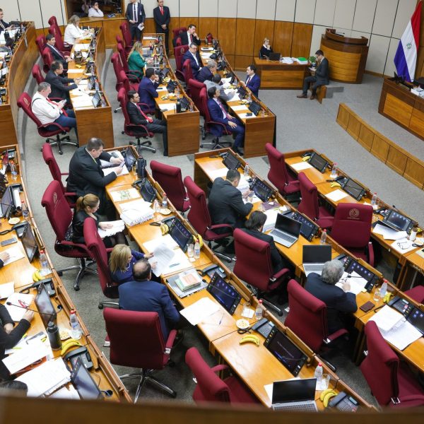 Seguro médico y vales de combustibles para parlamentarios en el presupuesto 2025