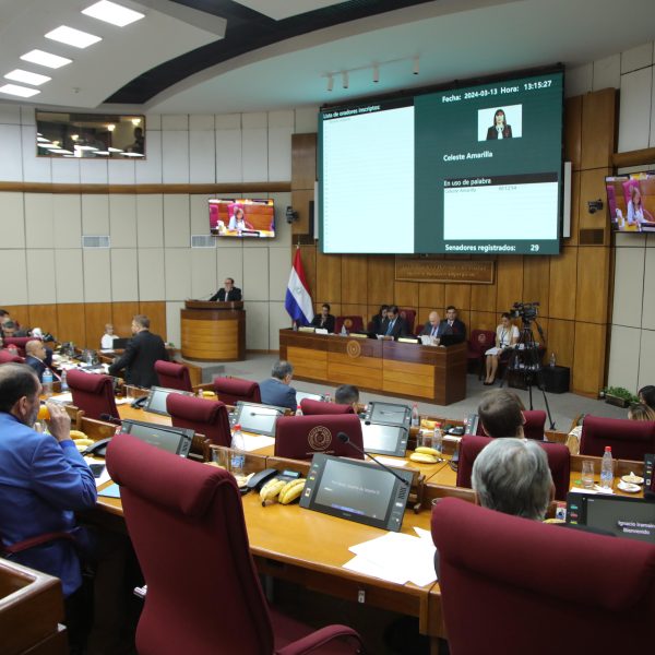 Diputados aprueba jubilación vip para parlamentarios