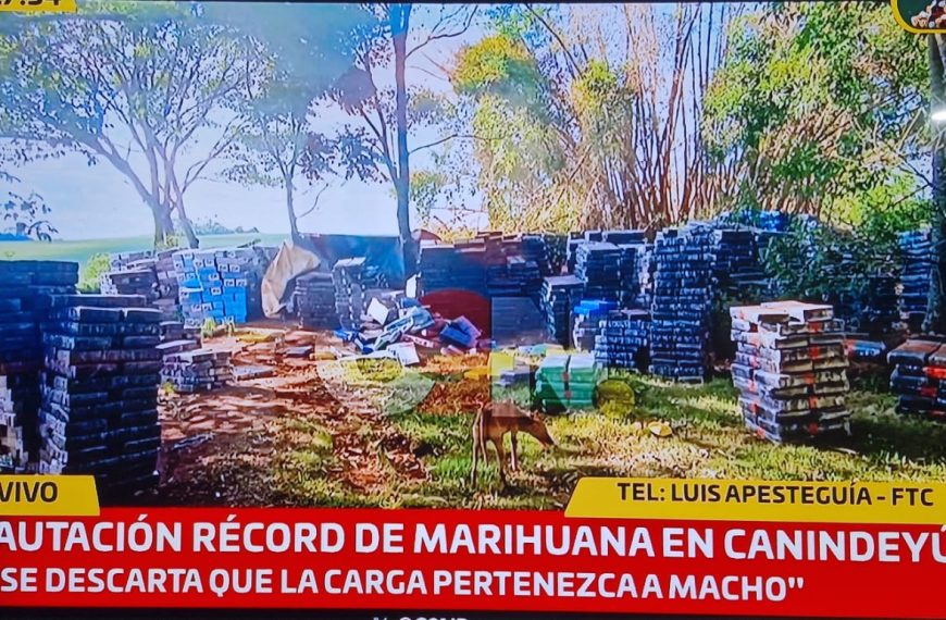 Reportan incautación récord de marihuana en Canindeyú