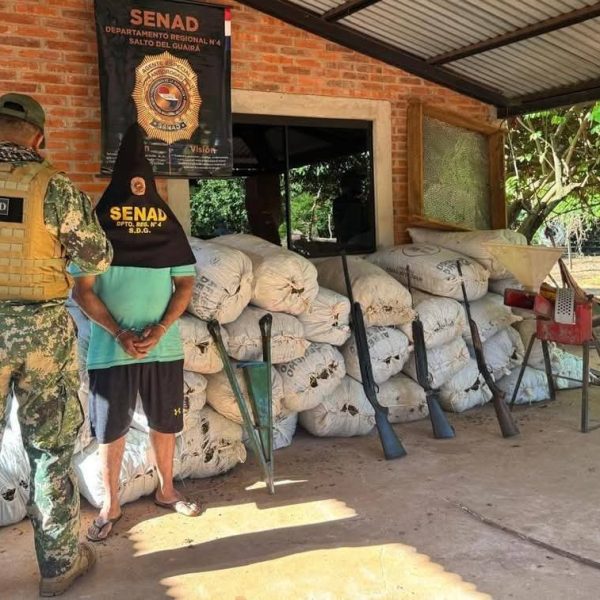 Operativo interinstitucional en Canindeyú: incautan más de 7 toneladas de marihuana y detienen a cuatro personas