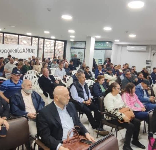 Organizaciones sociales y gremiales plantean unidad en defensa de la ANDE y la soberanía energética