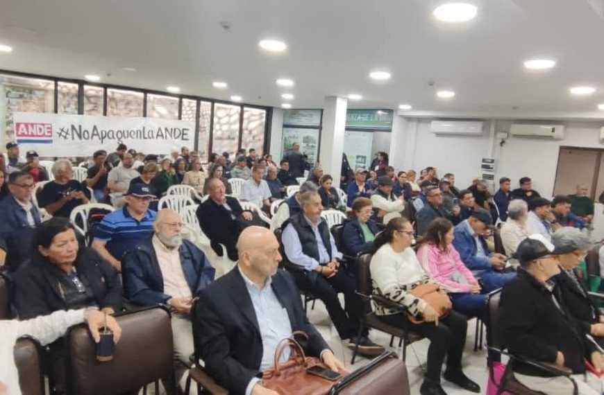 Organizaciones sociales y gremiales plantean unidad en defensa de la ANDE y la soberanía energética
